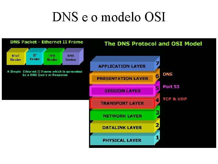 DNS e o modelo OSI 
