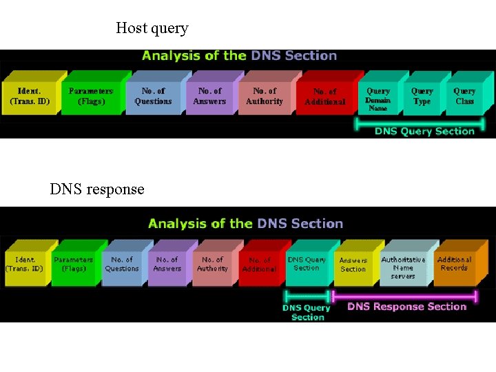 Host query DNS response 
