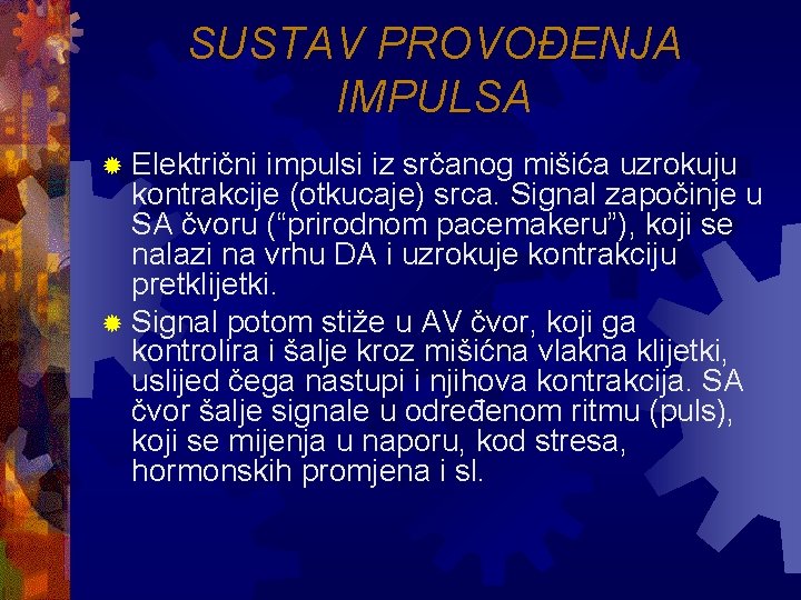 SUSTAV PROVOĐENJA IMPULSA ® Električni impulsi iz srčanog mišića uzrokuju kontrakcije (otkucaje) srca. Signal