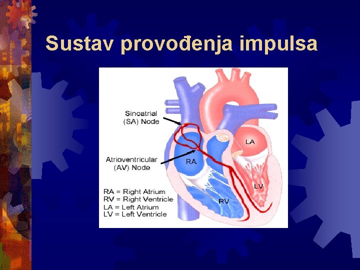 Sustav provođenja impulsa 