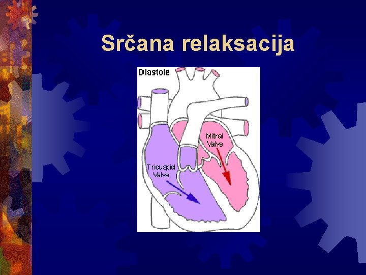 Srčana relaksacija 