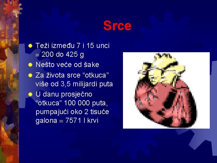 Srce Teži između 7 i 15 unci 200 do 425 g ® Nešto veće