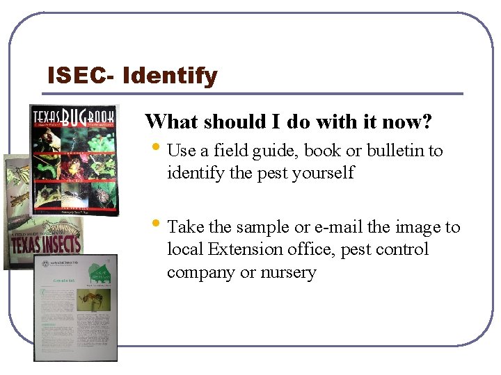 ISEC- Identify What should I do with it now? • Use a field guide,