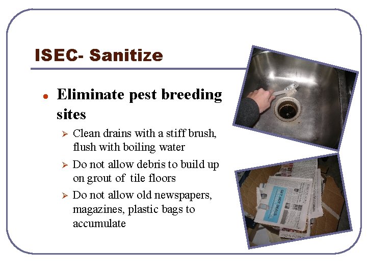 ISEC- Sanitize l Eliminate pest breeding sites Ø Ø Ø Clean drains with a