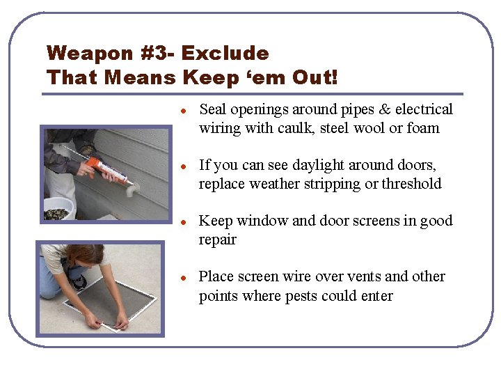 Weapon #3 - Exclude That Means Keep ‘em Out! l l Seal openings around