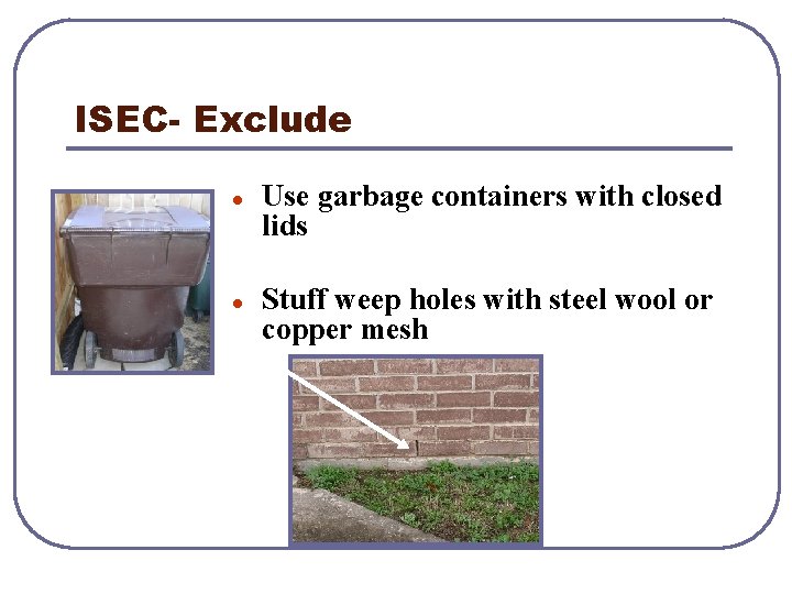 ISEC- Exclude l l Use garbage containers with closed lids Stuff weep holes with