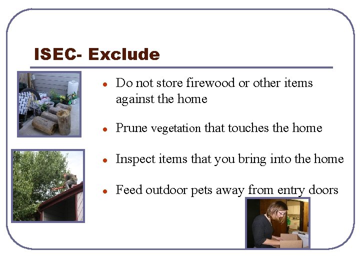 ISEC- Exclude l Do not store firewood or other items against the home l