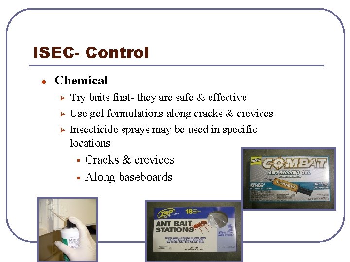 ISEC- Control l Chemical Ø Ø Ø Try baits first- they are safe &