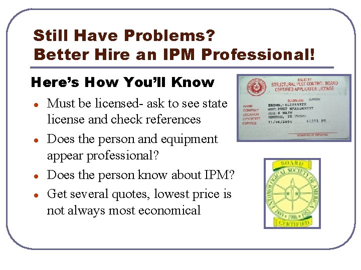 Still Have Problems? Better Hire an IPM Professional! Here’s How You’ll Know l Must