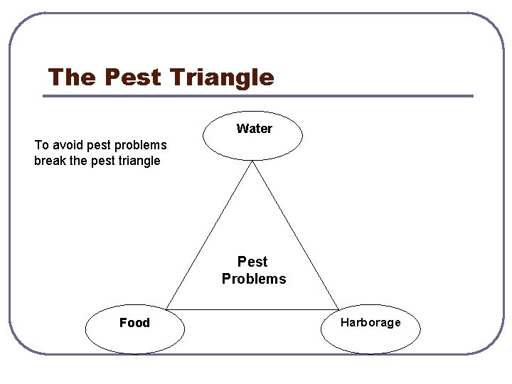 The Pest Triangle Water To avoid pest problems break the pest triangle Pest Problems