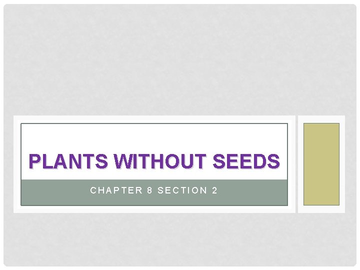 PLANTS WITHOUT SEEDS CHAPTER 8 SECTION 2 