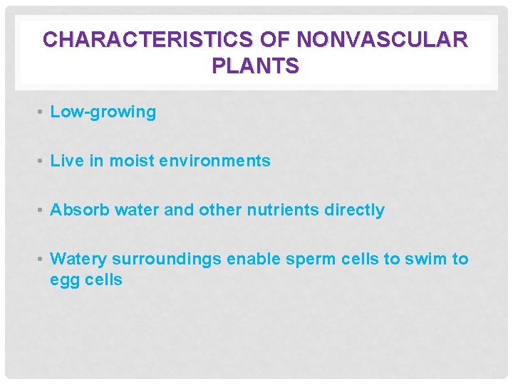 CHARACTERISTICS OF NONVASCULAR PLANTS • Low-growing • Live in moist environments • Absorb water