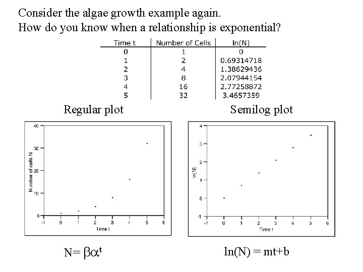 Consider the algae growth example again. How do you know when a relationship is