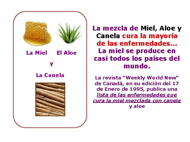 La Miel El Aloe y La Canela La mezcla de Miel, Aloe y Canela