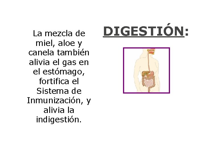 La mezcla de miel, aloe y canela también alivia el gas en el estómago,