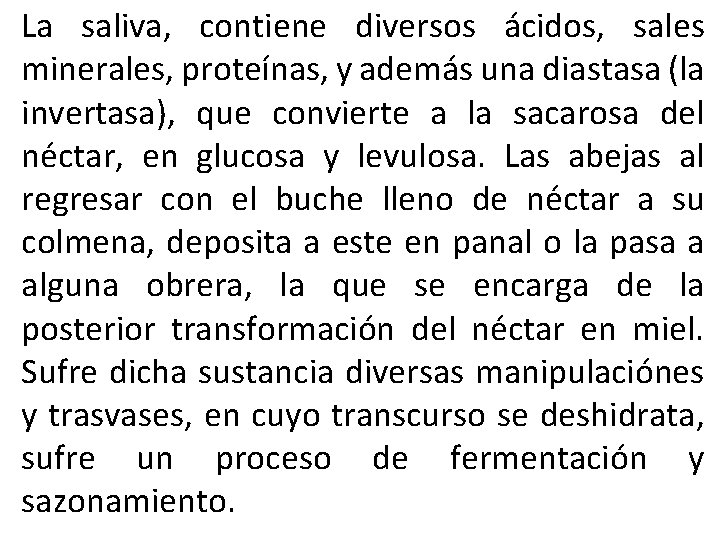 La saliva, contiene diversos ácidos, sales minerales, proteínas, y además una diastasa (la invertasa),