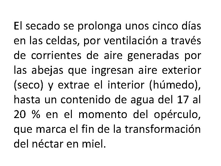 El secado se prolonga unos cinco días en las celdas, por ventilación a través