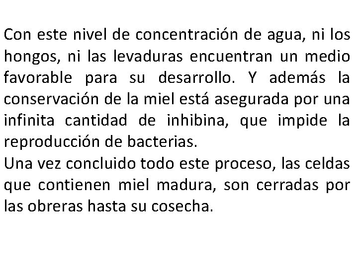 Con este nivel de concentración de agua, ni los hongos, ni las levaduras encuentran