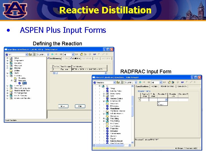Reactive Distillation • ASPEN Plus Input Forms Defining the Reaction RADFRAC Input Form 