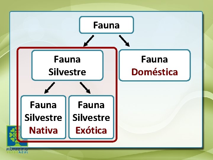 Fauna Silvestre Nativa Exótica Fauna Doméstica 