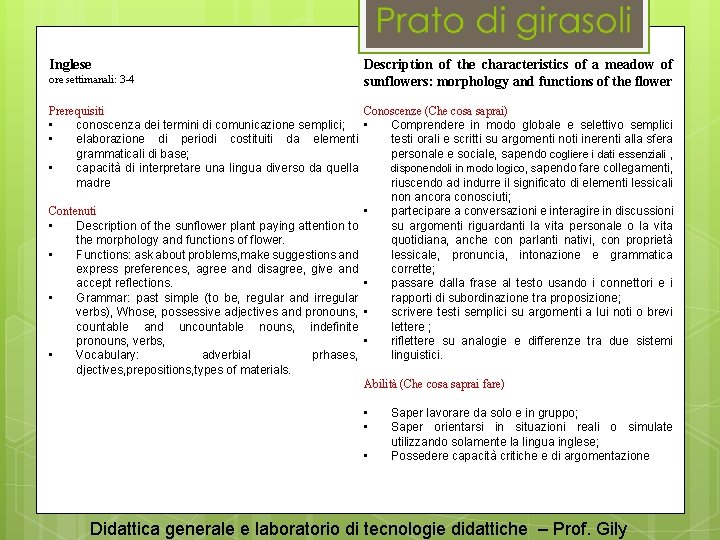 Inglese ore settimanali: 3 -4 Description of the characteristics of a meadow of sunflowers: