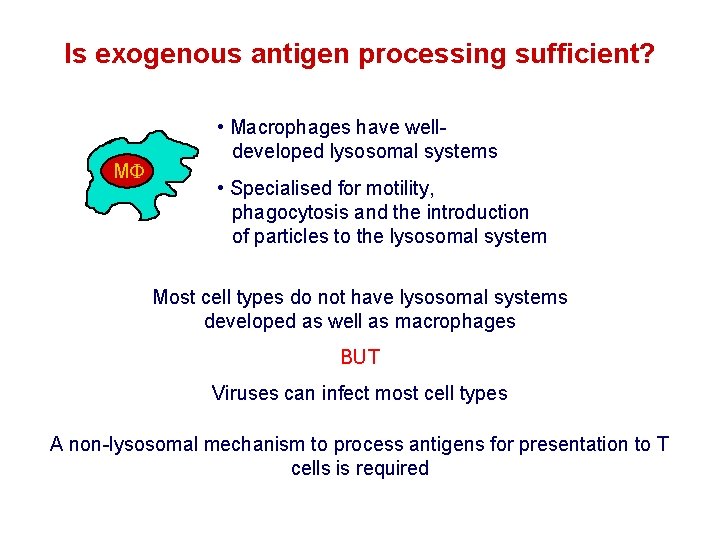 Is exogenous antigen processing sufficient? M • Macrophages have welldeveloped lysosomal systems • Specialised Is exogenous antigen processing sufficient? M • Macrophages have welldeveloped lysosomal systems • Specialised