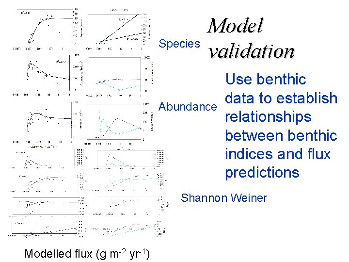 Species Model validation Abundance Use benthic data to establish relationships between benthic indices and Species Model validation Abundance Use benthic data to establish relationships between benthic indices and