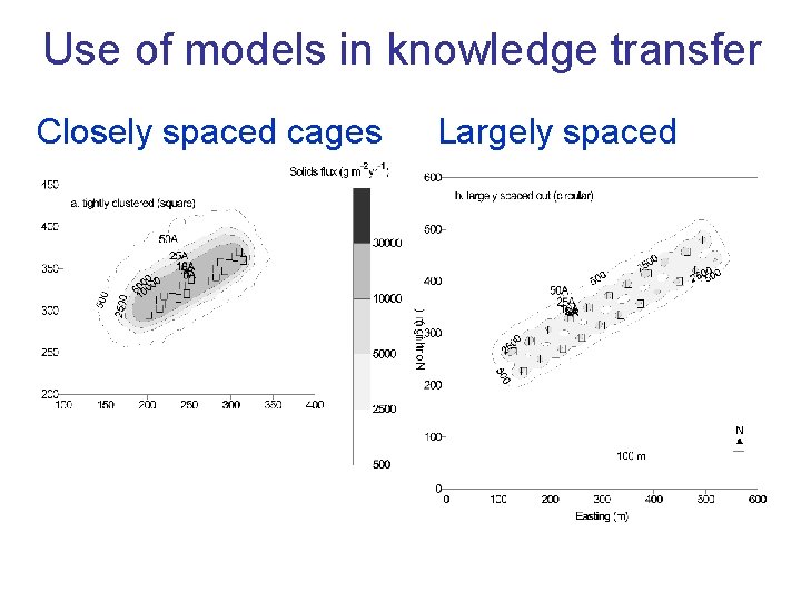 Use of models in knowledge transfer Closely spaced cages Largely spaced 