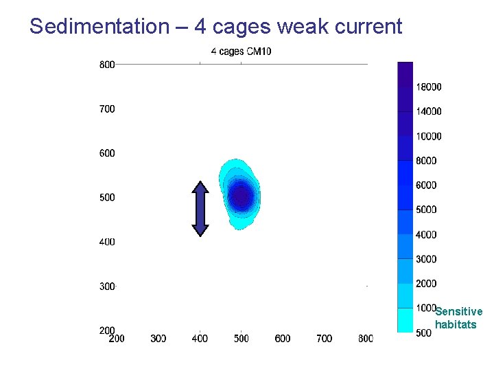 Sedimentation – 4 cages weak current Sensitive habitats Sedimentation – 4 cages weak current Sensitive habitats