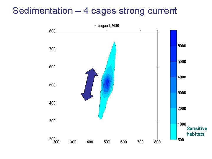 Sedimentation – 4 cages strong current Sensitive habitats Sedimentation – 4 cages strong current Sensitive habitats