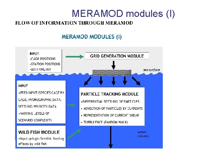 MERAMOD modules (I) 