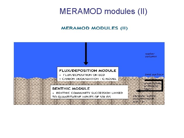 MERAMOD modules (II) 