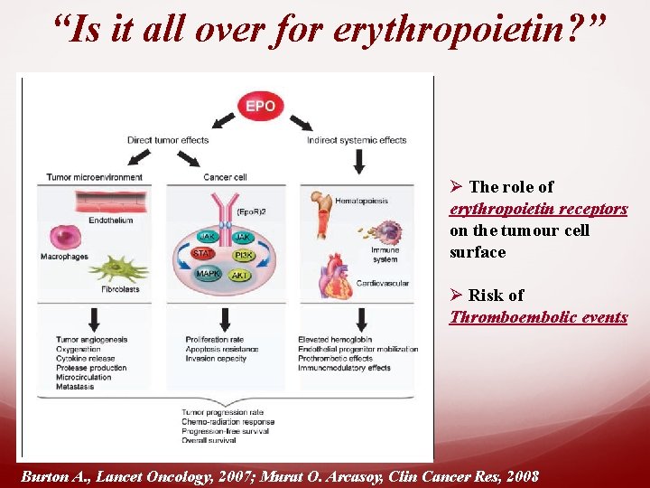 “Is it all over for erythropoietin? ” The role of erythropoietin receptors on the