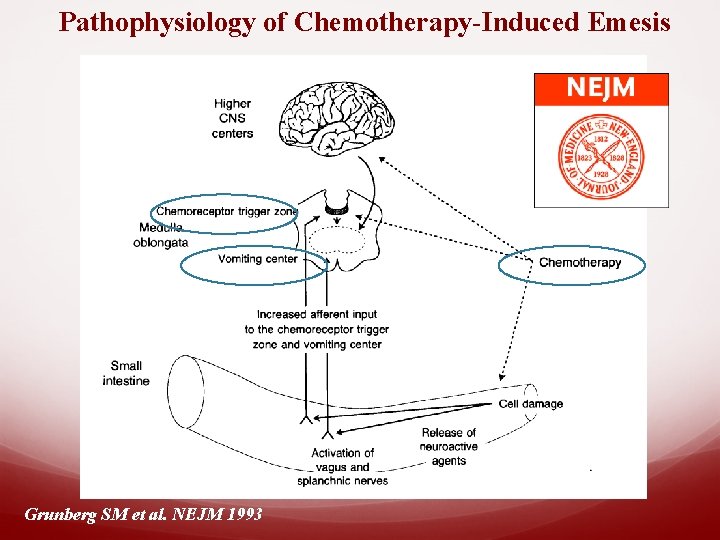 Pathophysiology of Chemotherapy-Induced Emesis Grunberg SM et al. NEJM 1993 