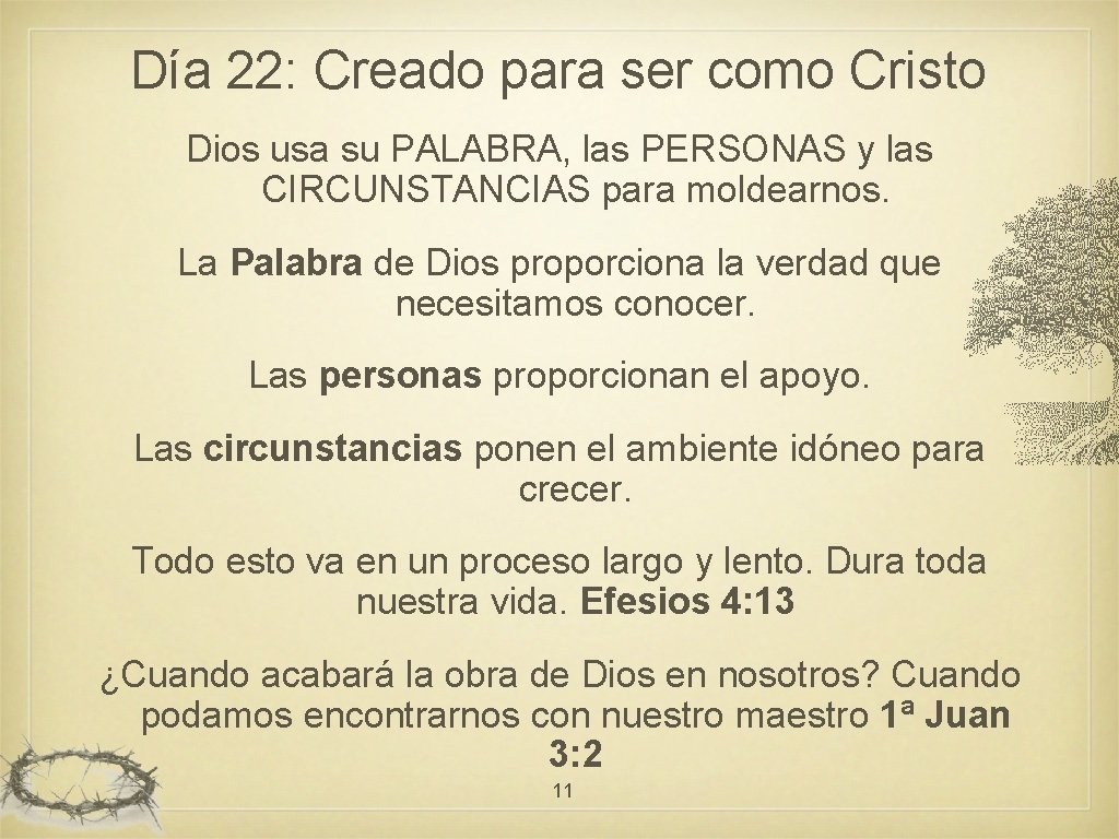 Día 22: Creado para ser como Cristo Dios usa su PALABRA, las PERSONAS y