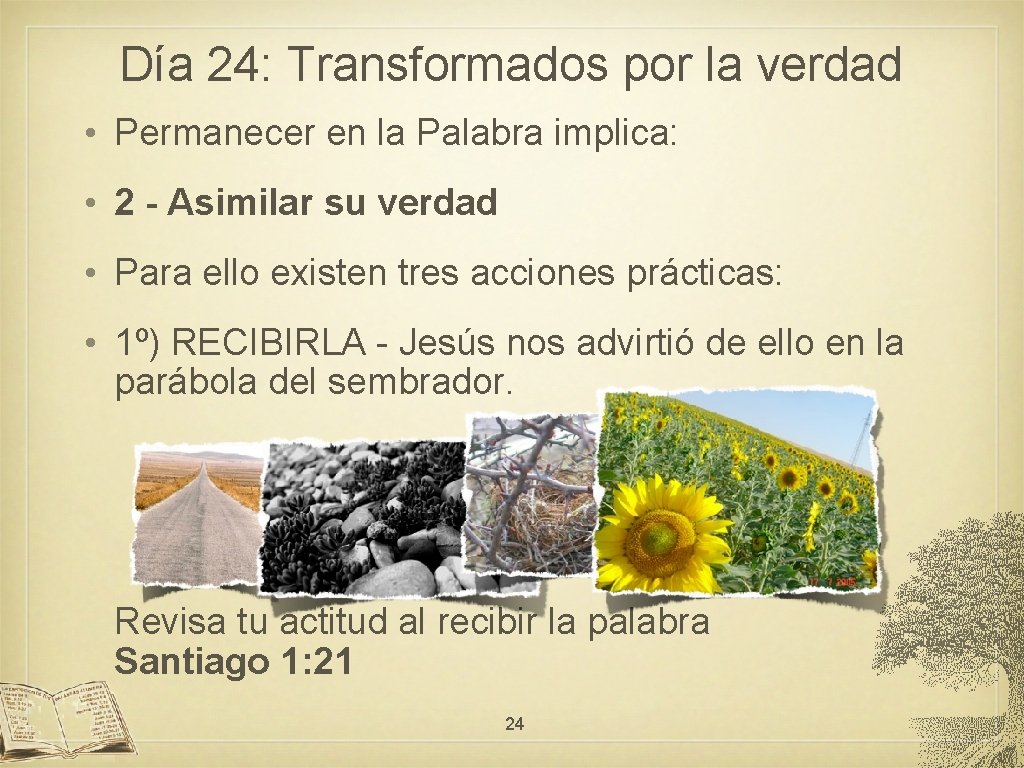 Día 24: Transformados por la verdad • Permanecer en la Palabra implica: • 2