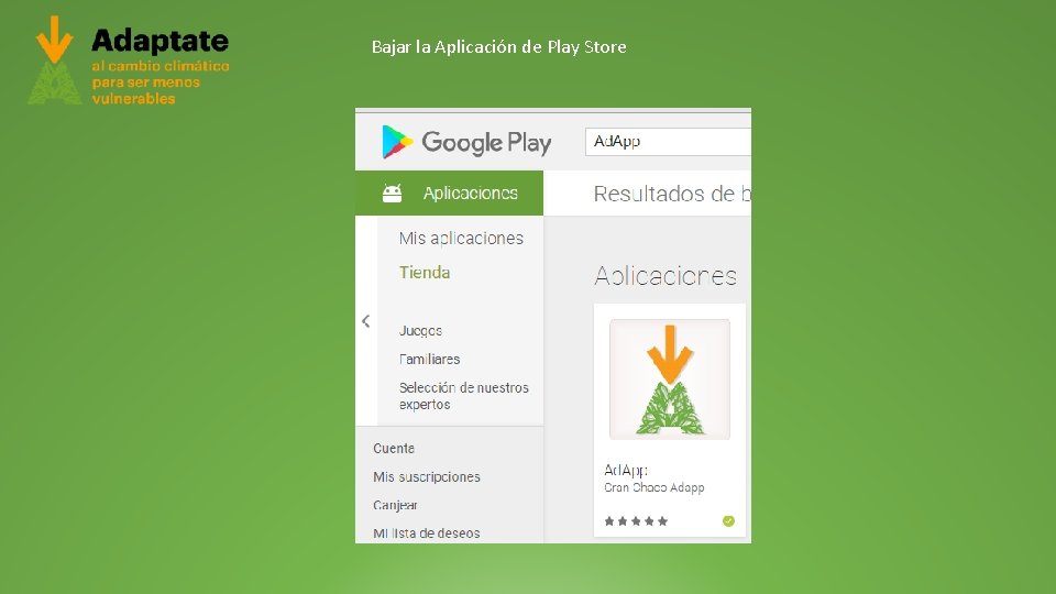 Bajar la Aplicación de Play Store 