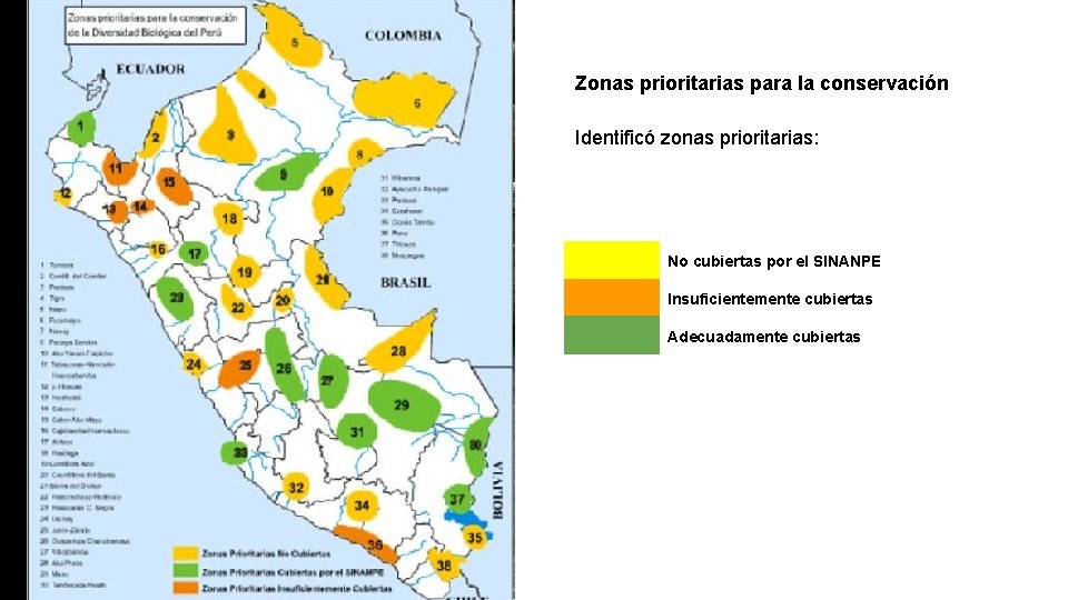Zonas prioritarias para la conservación Identificó zonas prioritarias: No cubiertas por el SINANPE Insuficientemente