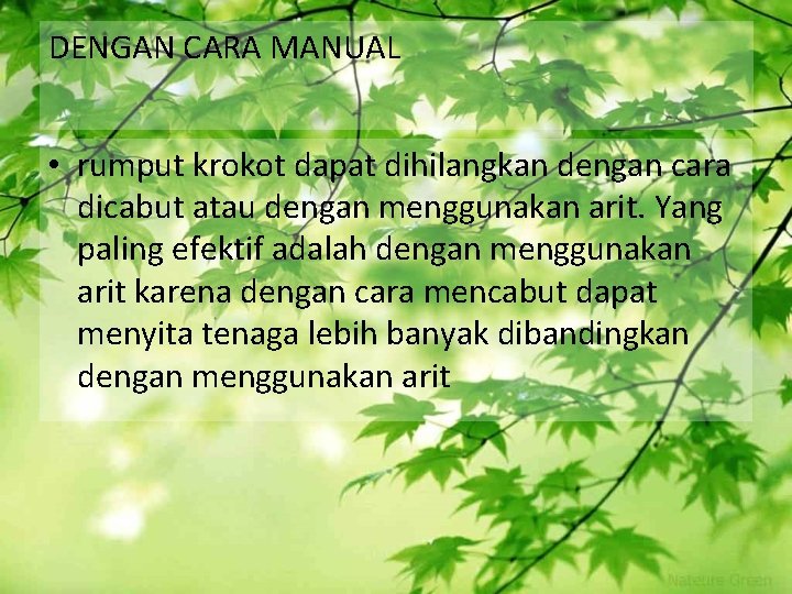 DENGAN CARA MANUAL • rumput krokot dapat dihilangkan dengan cara dicabut atau dengan menggunakan