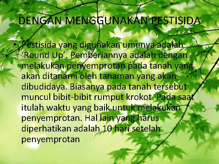 DENGAN MENGGUNAKAN PESTISIDA • Pestisida yang digunakan umunya adalah ‘Round Up’. Pemberiannya adalah dengan