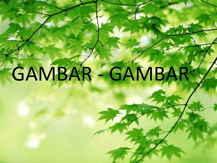GAMBAR - GAMBAR 