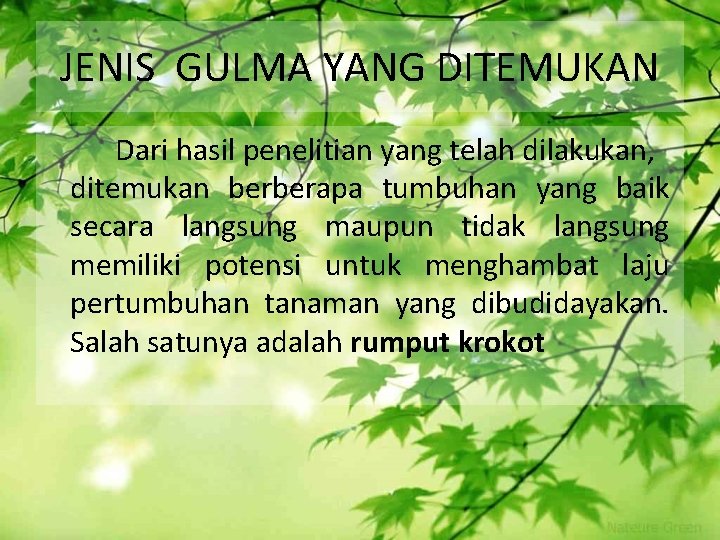 JENIS GULMA YANG DITEMUKAN Dari hasil penelitian yang telah dilakukan, ditemukan berberapa tumbuhan yang