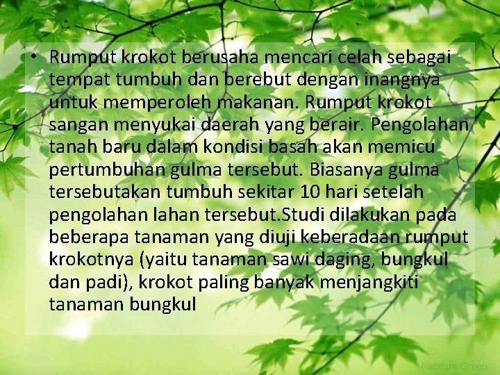  • Rumput krokot berusaha mencari celah sebagai tempat tumbuh dan berebut dengan inangnya