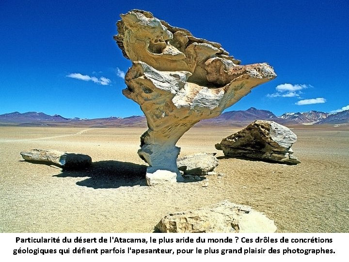 Particularité du désert de l'Atacama, le plus aride du monde ? Ces drôles de