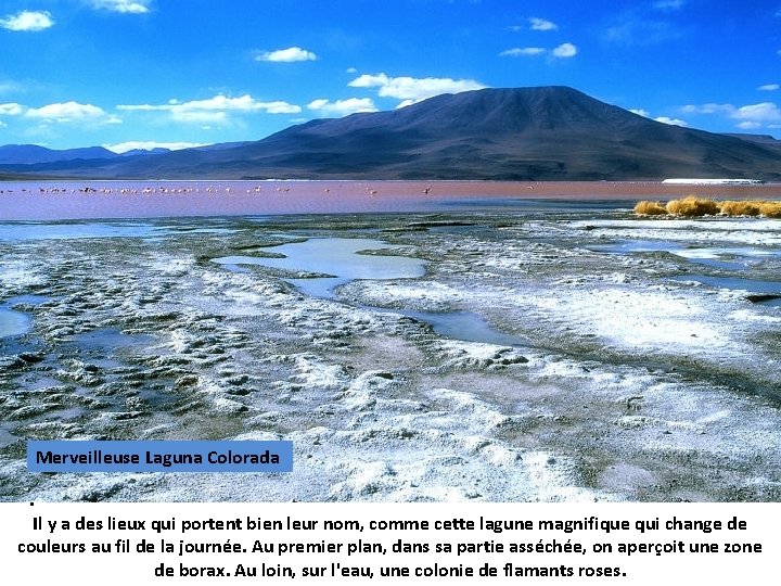 Merveilleuse Laguna Colorada. Il y a des lieux qui portent bien leur nom, comme