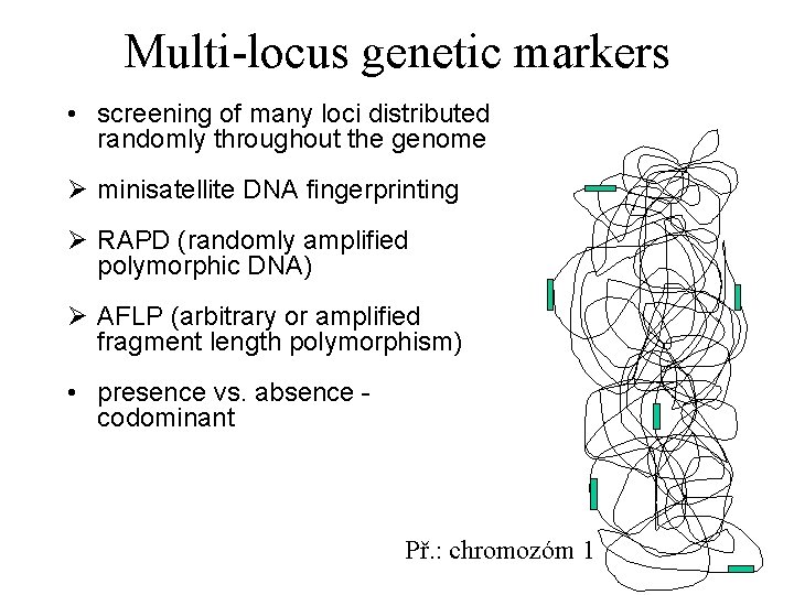 Multi-locus genetic markers • screening of many loci distributed randomly throughout the genome Ø