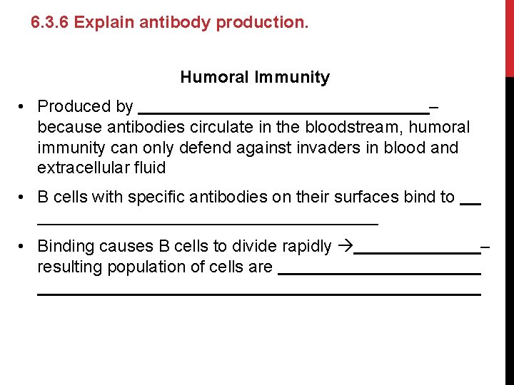 6. 3. 6 Explain antibody production. Humoral Immunity • Produced by – because antibodies