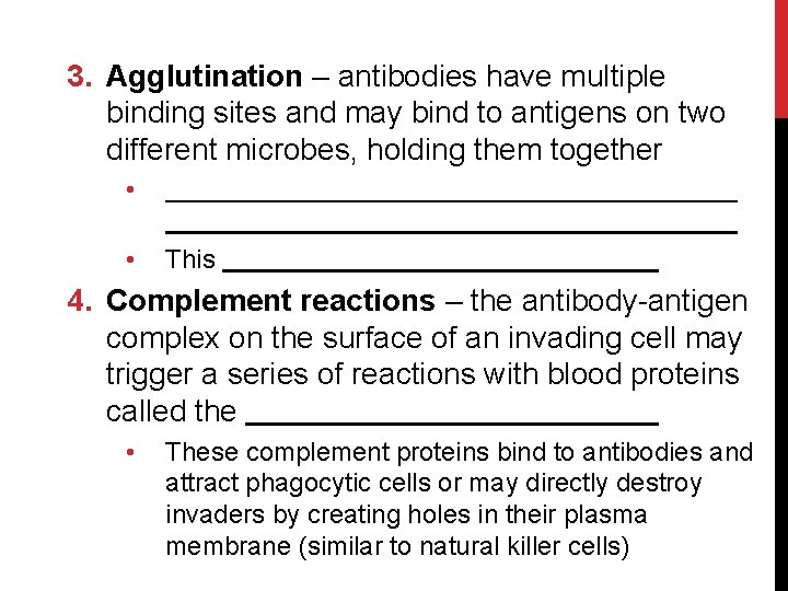 3. Agglutination – antibodies have multiple binding sites and may bind to antigens on