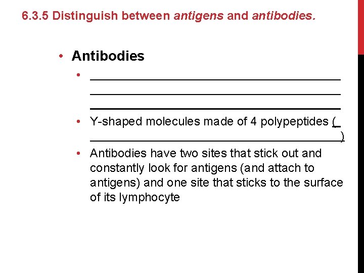 6. 3. 5 Distinguish between antigens and antibodies. • Antibodies • • Y-shaped molecules