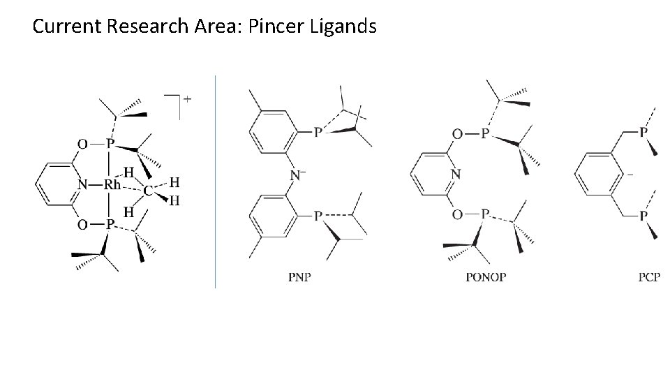 Current Research Area: Pincer Ligands 
